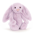 Lapin lilas timide