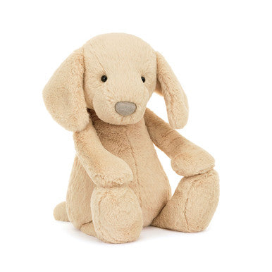 Timide Luxe Chiot Orlando