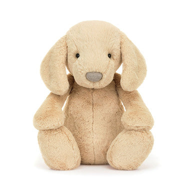 Timide Luxe Chiot Orlando
