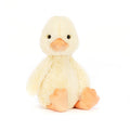 Caneton timide
