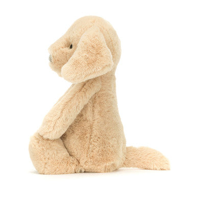 Timide Luxe Chiot Orlando