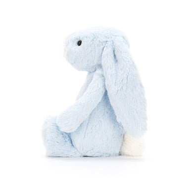 Lapin bleu timide
