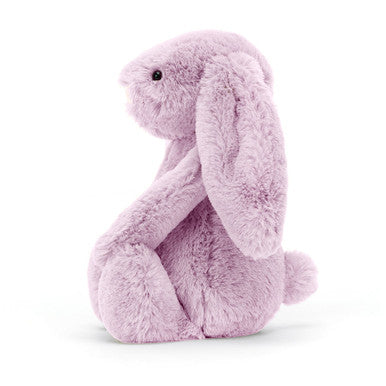 Lapin lilas timide