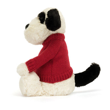 Chiot timide noir et crème avec pull rouge personnalisé