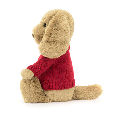 Chiot timide au caramel avec pull rouge personnalisé
