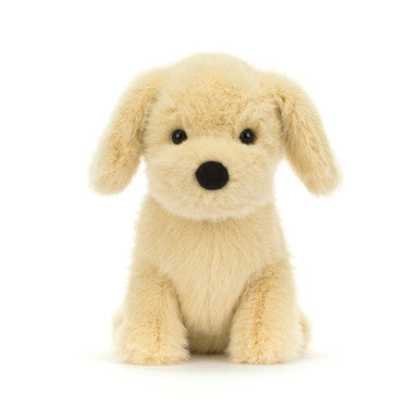 Chiot doré
