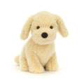 Chiot doré