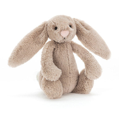 Si j'étais un livre de lapin et un petit lapin beige timide