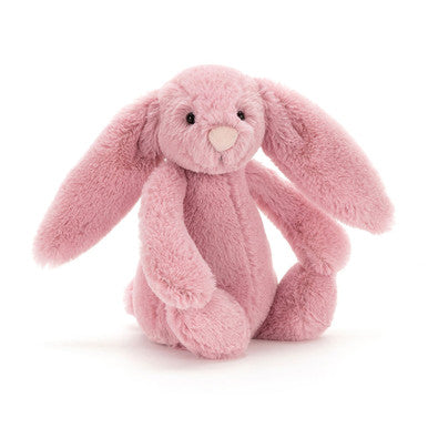 Si j'étais un livre de lapin et un petit lapin tulipe timide